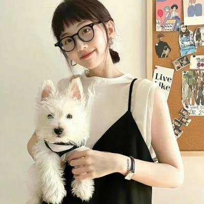 游击队员强尼